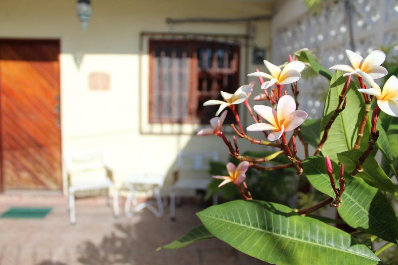 Cancun Guest House Buitenkant foto